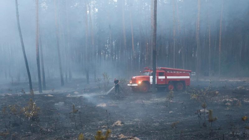 На Харківщині масштабна лісова пожежа спричинила травми у двох осіб, повідомляє ОВА.