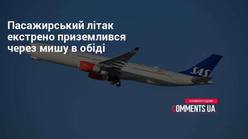 Пасажирський літак здійснив термінову посадку через наявність миші у їжі.