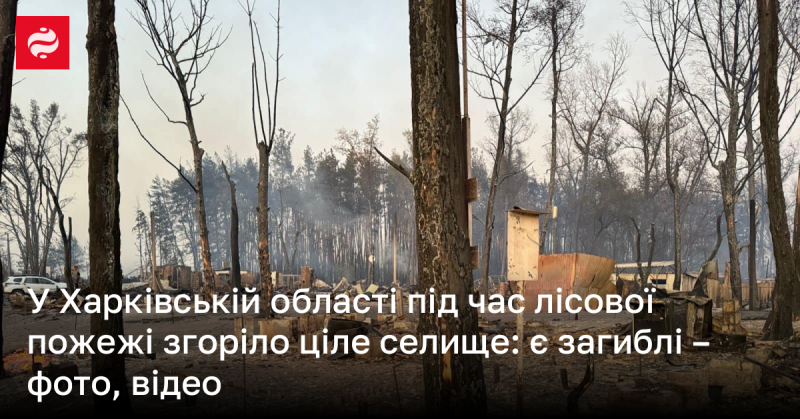 У Харківській області внаслідок лісової пожежі знищено ціле селище: є жертви - фото та відеоматеріали.