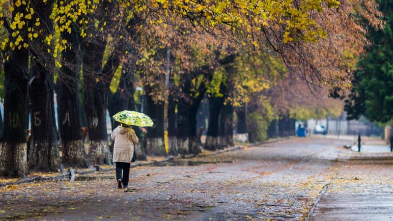 Деякі регіони України очікують дощі: прогноз погоди на 8 листопада - Полеміка