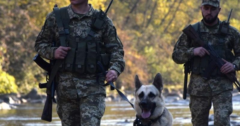 Краще було б не втікати: на Закарпатті правопорушник кордону зазнав травм та отримав нове звинувачення.